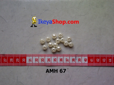 AMH 67  large2
